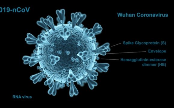 Da Il Fatto Veterinario su coronavirus ed animali da compagnia