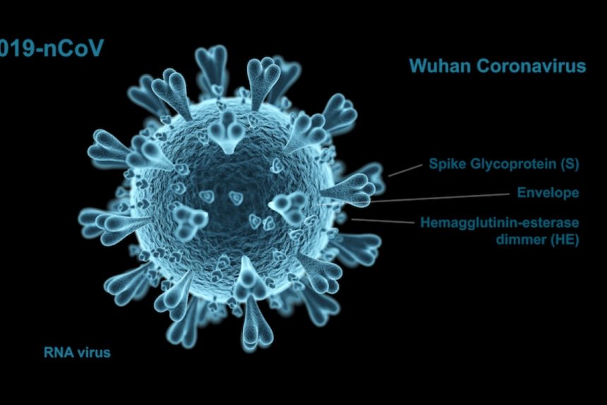 Da Il Fatto Veterinario su coronavirus ed animali da compagnia